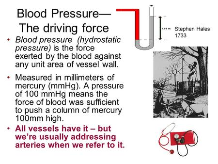 Blood Pressure— The driving force Stephen Hales 1733 Blood pressure (hydrostatic pressure) is the force exerted by the blood against any unit area of vessel.