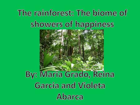 The rainforest: The biome of showers of happiness