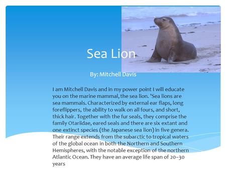 Sea Lion By: Mitchell Davis I am Mitchell Davis and in my power point I will educate you on the marine mammal, the sea lion. 'Sea lions are sea mammals.