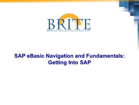 SAP eBasic Navigation and Fundamentals: Getting Into SAP