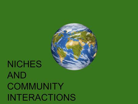 NICHES AND COMMUNITY INTERACTIONS