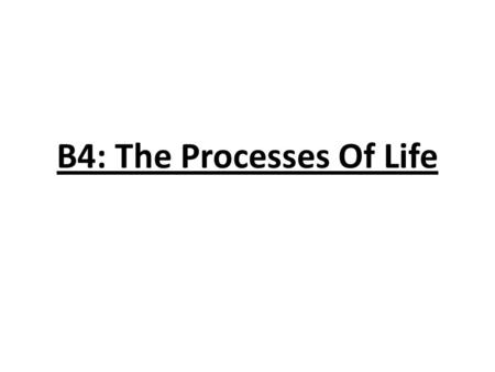 B4: The Processes Of Life