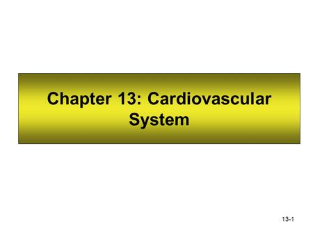 Chapter 13: Cardiovascular System