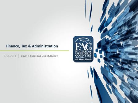 Finance, Tax & Administration Davin J. Suggs and Lisa M. Hurley3/15/2012.