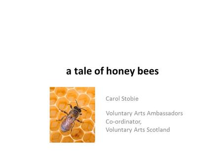 A tale of honey bees Carol Stobie Voluntary Arts Ambassadors Co-ordinator, Vol Voluntary Arts Scotland.