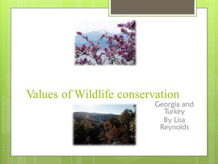 Values of Wildlife conservation Georgia and Turkey By Lisa Reynolds.