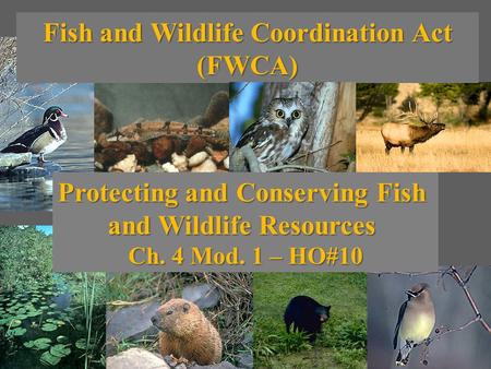 Fish and Wildlife Coordination Act (FWCA) Protecting and Conserving Fish and Wildlife Resources Ch. 4 Mod. 1 – HO#10.