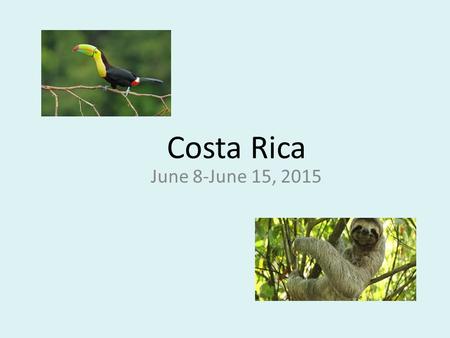 Costa Rica June 8-June 15, 2015. Most flights arrive in the evening. Interact’s foreign representative will meet you in the airport lobby. Transfer.