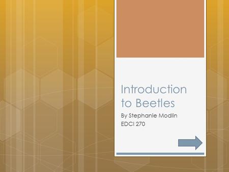 Introduction to Beetles By Stephanie Modlin EDCI 270.