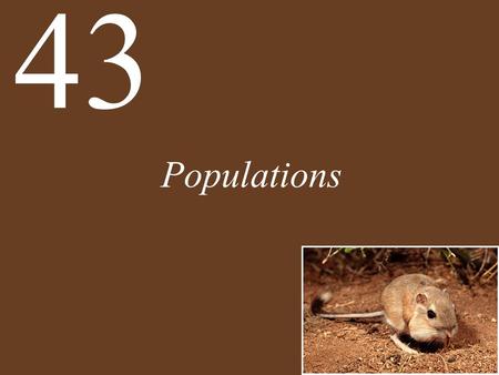 Populations 43. Chapter 43 Populations Key Concepts 43.1 Populations Are Patchy in Space and Dynamic over Time 43.2 Births Increase and Deaths Decrease.
