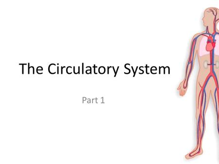 The Circulatory System Part 1. Learning Objectives Learn about what blood cells are and what they do. Learn about the different types of blood vessels.