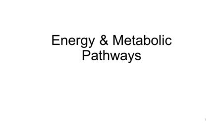 Energy & Metabolic Pathways 1. ATP Redox Electron Carriers 2.