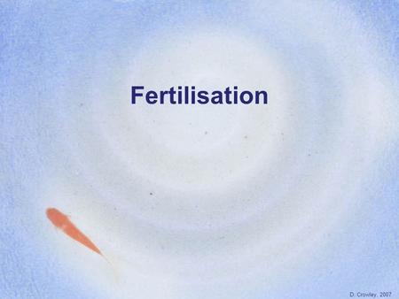 Fertilisation D. Crowley, 2007. Fertilisation To know what happens at fertilisation Monday, August 17, 2015.