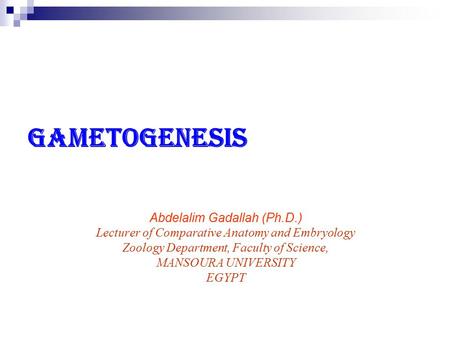 Gametogenesis Abdelalim Gadallah (Ph.D.) Lecturer of Comparative Anatomy and Embryology Zoology Department, Faculty of Science, MANSOURA UNIVERSITY EGYPT.