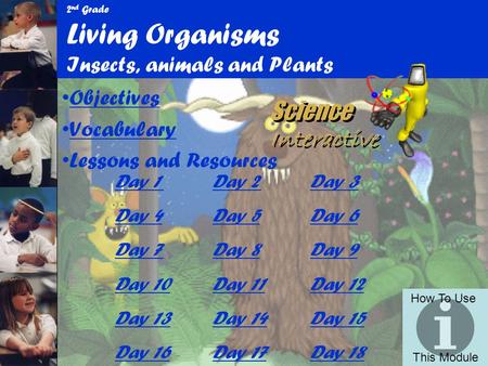 2nd Grade Living Organisms Insects, animals and Plants