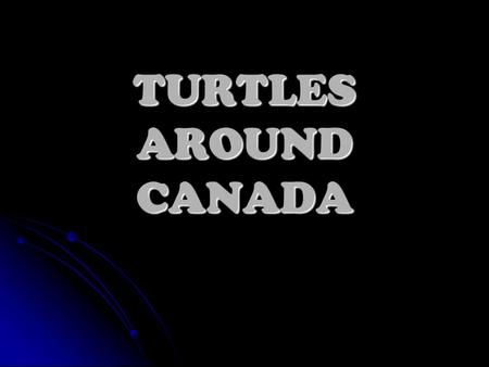 TURTLES AROUND CANADA All images and web pages herein are © David Scarbrough and Design, Ltd. Email us if you have any questions!Design, Ltd ail us Visitor.