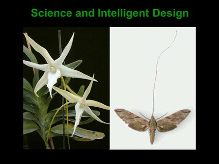 Science and Intelligent Design. 1.Introduction This presentation describes: 1.the logic of science in relation to ontology (i.e. the study of reality),