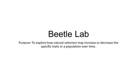 Beetle Lab Purpose: To explore how natural selection may increase or decrease the specific traits in a population over time.