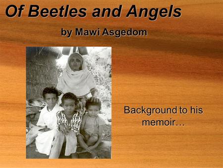 Of Beetles and Angels by Mawi Asgedom