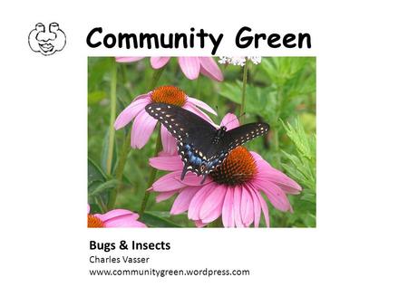 Community Green Bugs & Insects Charles Vasser www.communitygreen.wordpress.com.