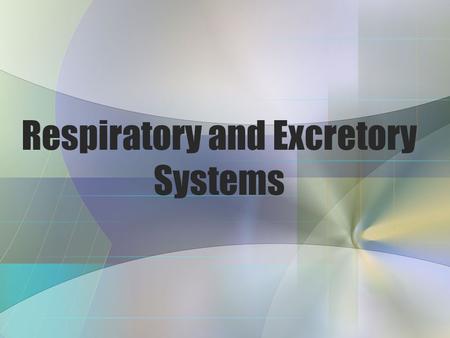 Respiratory and Excretory Systems Vocabulary Alveoli – Air Sacs that make up the lungs, where gas exchange occurs Capillary – tiny blood vessels that.