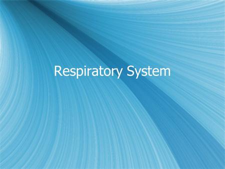 Respiratory System. identify and give functions for the following structures: - Nasal cavity  Larynx  alveoli  Trachea  diaphragm and ribs  Bronchi.