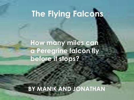 The Flying Falcons BY MANIK AND JONATHAN How many miles can a Peregrine falcon fly before it stops?