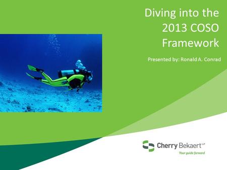 Diving into the 2013 COSO Framework