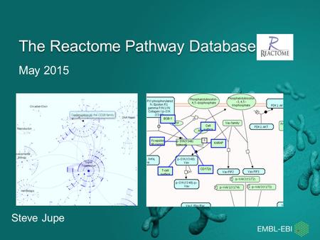 May 2015 The Reactome Pathway Database Steve Jupe.