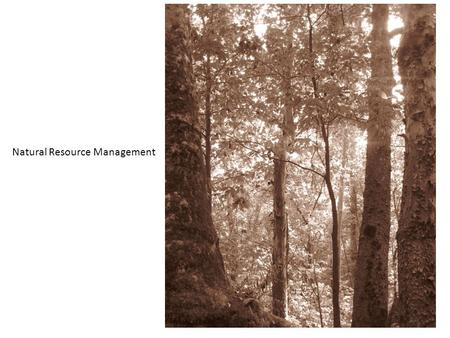 Natural Resource Management. Concepts/Approaches to Managing Natural Areas.