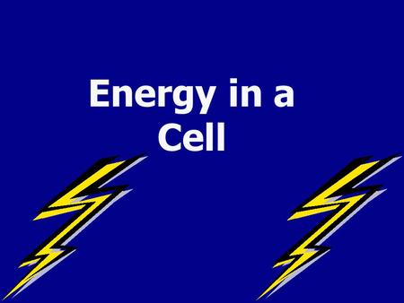 Energy in a Cell All Cells Need Energy Cells need energy to do a variety of work: Making new molecules. Building membranes and organelles. Moving molecules.