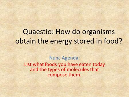 Quaestio: How do organisms obtain the energy stored in food? Nunc Agenda: List what foods you have eaten today and the types of molecules that compose.