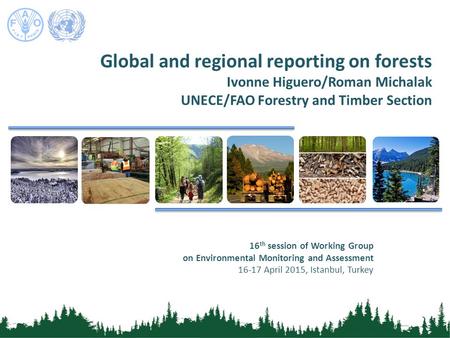 Global and regional reporting on forests Ivonne Higuero/Roman Michalak UNECE/FAO Forestry and Timber Section 16 th session of Working Group on Environmental.