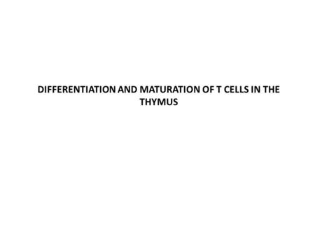 DIFFERENTIATION AND MATURATION OF T CELLS IN THE THYMUS.