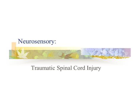 Neurosensory: Traumatic Spinal Cord Injury. A. Pathophysiology/etiology Normal spinal cord as it relates to SCI Spinal cord begins at the foramen magnum.