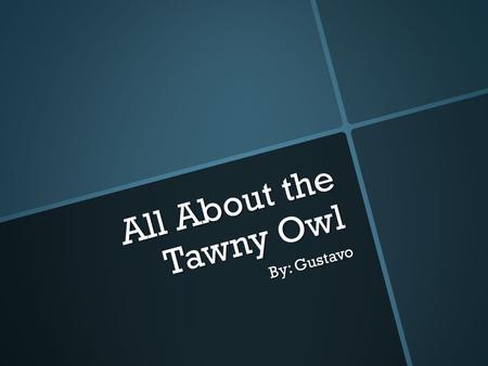All About the Tawny Owl By: Gustavo. Appearance  The tawny owl is a tytonidae  The color of a tawny owl is brown, white, and grey.  It has black color.