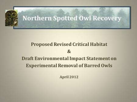 Proposed Revised Critical Habitat & Draft Environmental Impact Statement on Experimental Removal of Barred Owls April 2012 Northern Spotted Owl Recovery.