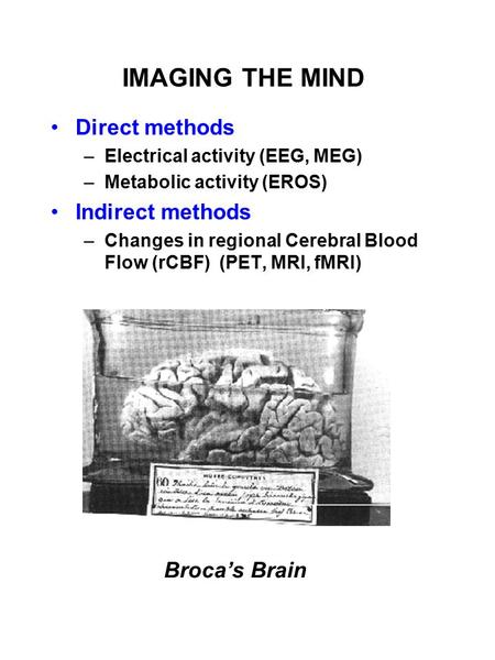 IMAGING THE MIND Direct methods –Electrical activity (EEG, MEG) –Metabolic activity (EROS) Indirect methods –Changes in regional Cerebral Blood Flow (rCBF)