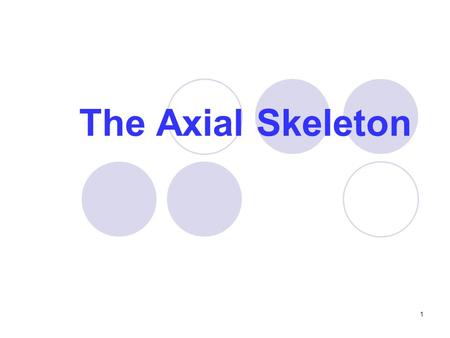 The Axial Skeleton.