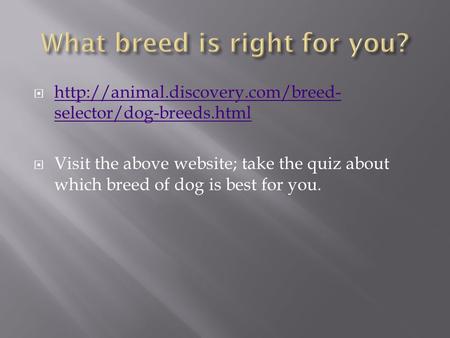   selector/dog-breeds.html  selector/dog-breeds.html  Visit the above website; take.