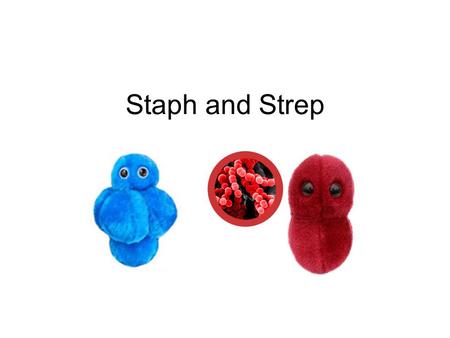 Staph and Strep.