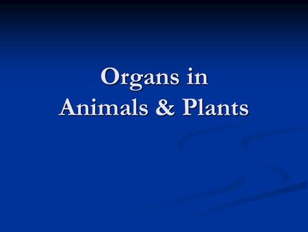 Organs in Animals & Plants