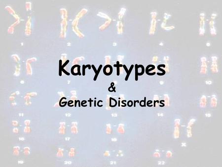 Karyotypes & Genetic Disorders