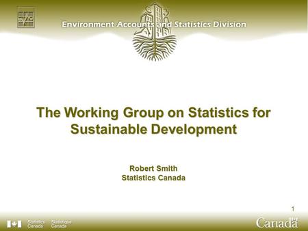 1 The Working Group on Statistics for Sustainable Development Robert Smith Statistics Canada.