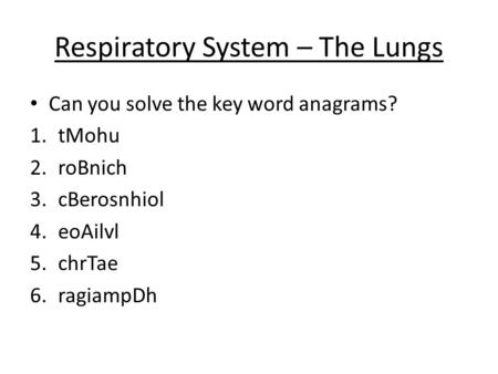 Respiratory System – The Lungs