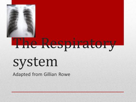 The Respiratory system Adapted from Gillian Rowe.