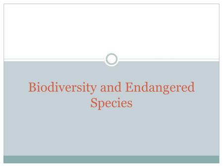 Biodiversity and Endangered Species. Food Chains and Food Webs Food chains are the feeding relationships that link organisms together. Generally, producers.