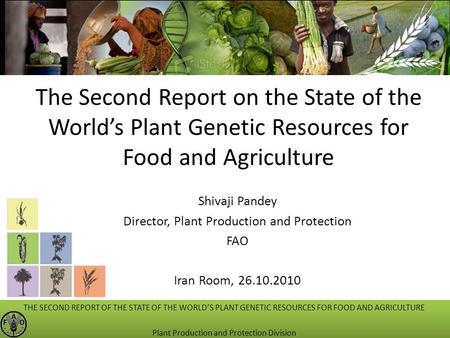 The Second Report on the State of the World’s Plant Genetic Resources for Food and Agriculture Shivaji Pandey Director, Plant Production and Protection.