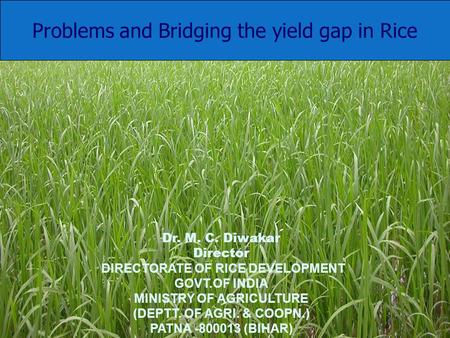 Problems and Bridging the yield gap in Rice