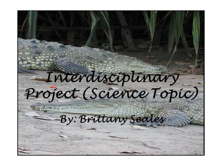 Interdisciplinary Project (Science Topic) By: Brittany Seales.